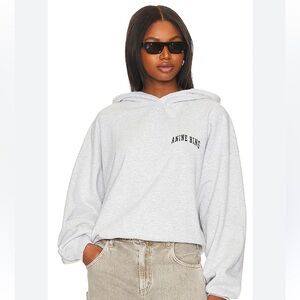 Anine Bing Gray Hoodie